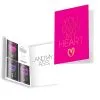 Kamasutra Carte De Voeux Naughty Notes You Own My Heart 2 Kamasutra Carte De Voeux Naughty Notes You Own My Heart -Pas Cher SexToys Magasin kama sutra naughty notes you own my heart