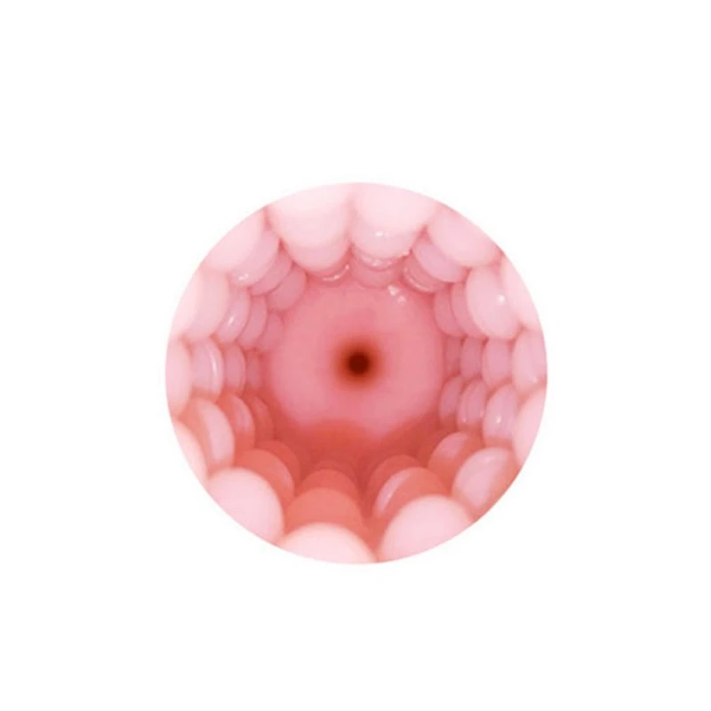 Lovense Gaine Vagin Pour Masturbateur Connecté Max 2 4 Lovense Gaine Vagin Pour Masturbateur Connecté Max 2 – Image 2