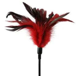 Sex & Mischief Cravache Et Plumeau Feather Slapper 9 Sex & Mischief Cravache Et Plumeau Feather Slapper -Pas Cher SexToys Magasin sex mischief feather slapper 3