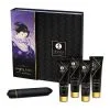 Shunga Kit Geisha Coquine 2 Shunga Kit Geisha Coquine -Pas Cher SexToys Magasin shunga kit geisha coquine