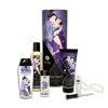 Shunga Kit Plaisirs Charnels 2 Shunga Kit Plaisirs Charnels -Pas Cher SexToys Magasin shunga kit plaisirs charnels