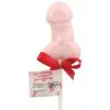 SPENCER FLEETWOOD Sucette Zizi -Pas Cher SexToys Magasin spencer fleetwood sucette zizi
